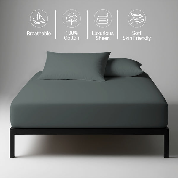 Royale 1000 Thread Count 100% Cotton Fitted Sheet - USA KING